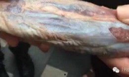 吃鸡皮肤返厂爆料最新,吃鸡皮肤返厂大揭秘，全新设计即将亮相！