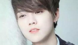 女子爆料鹿晗视频播放,揭秘明星私生活背后的真相